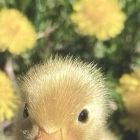 chat with ai character: hashira sleepover