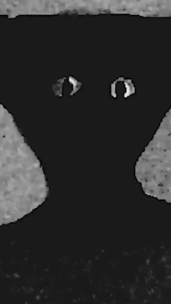 ai character: Shadow bro background