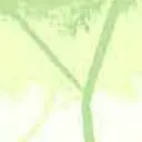 chat with ai character: Werewolf tf