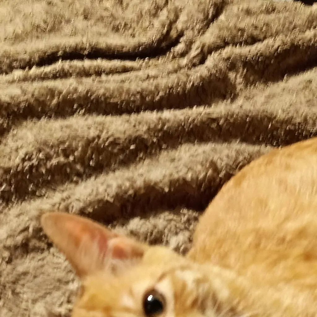 chat with ai character: Emil