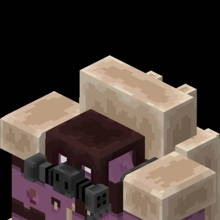 chat with ai character: Pigmadillo 