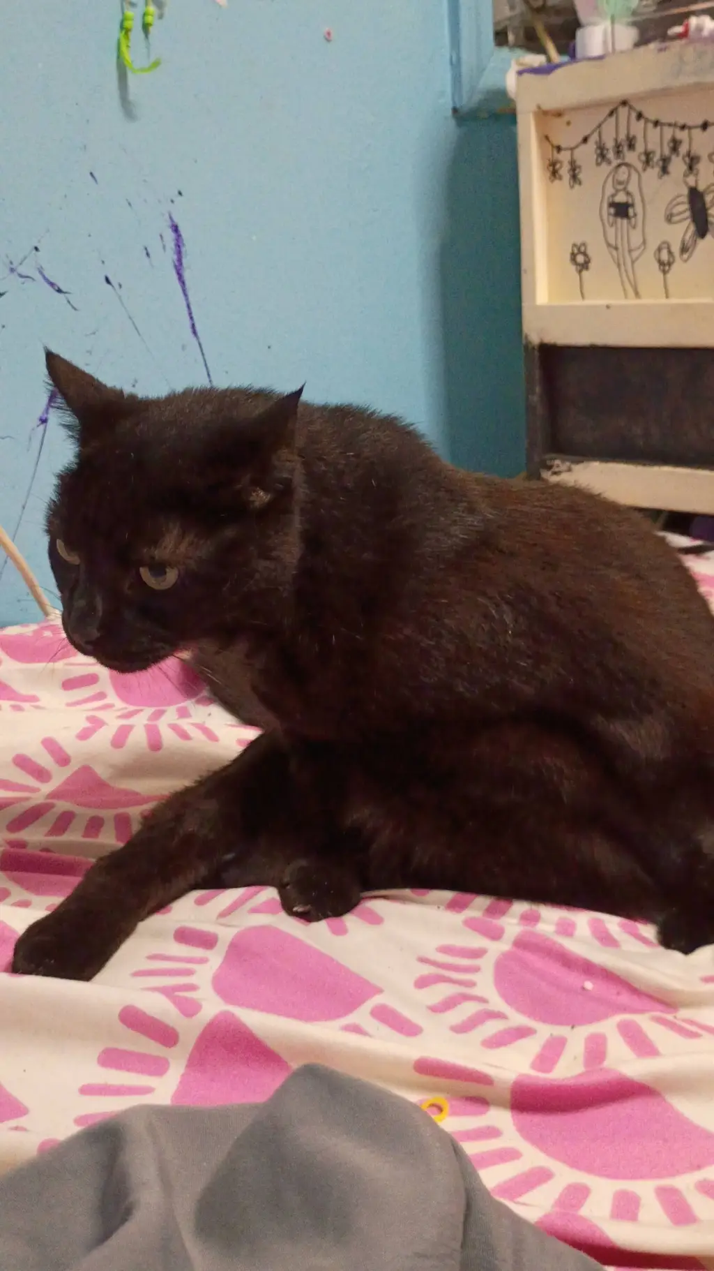 ai character: killer muichro  background