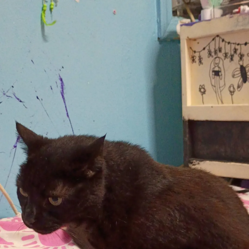 chat with ai character: killer muichro 