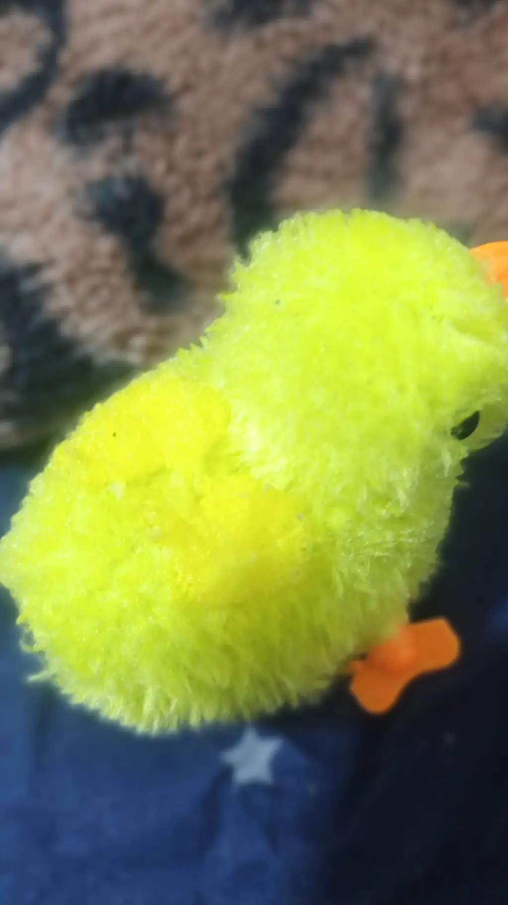 ai character: Chicky background