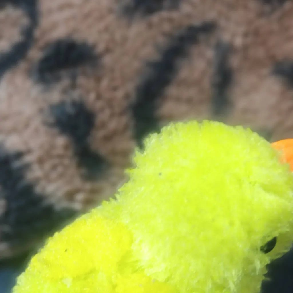 chat with ai character: Chicky