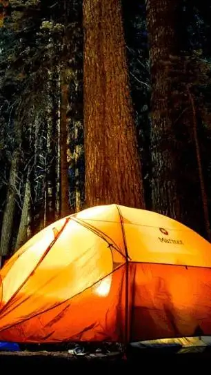 ai character: Camping background