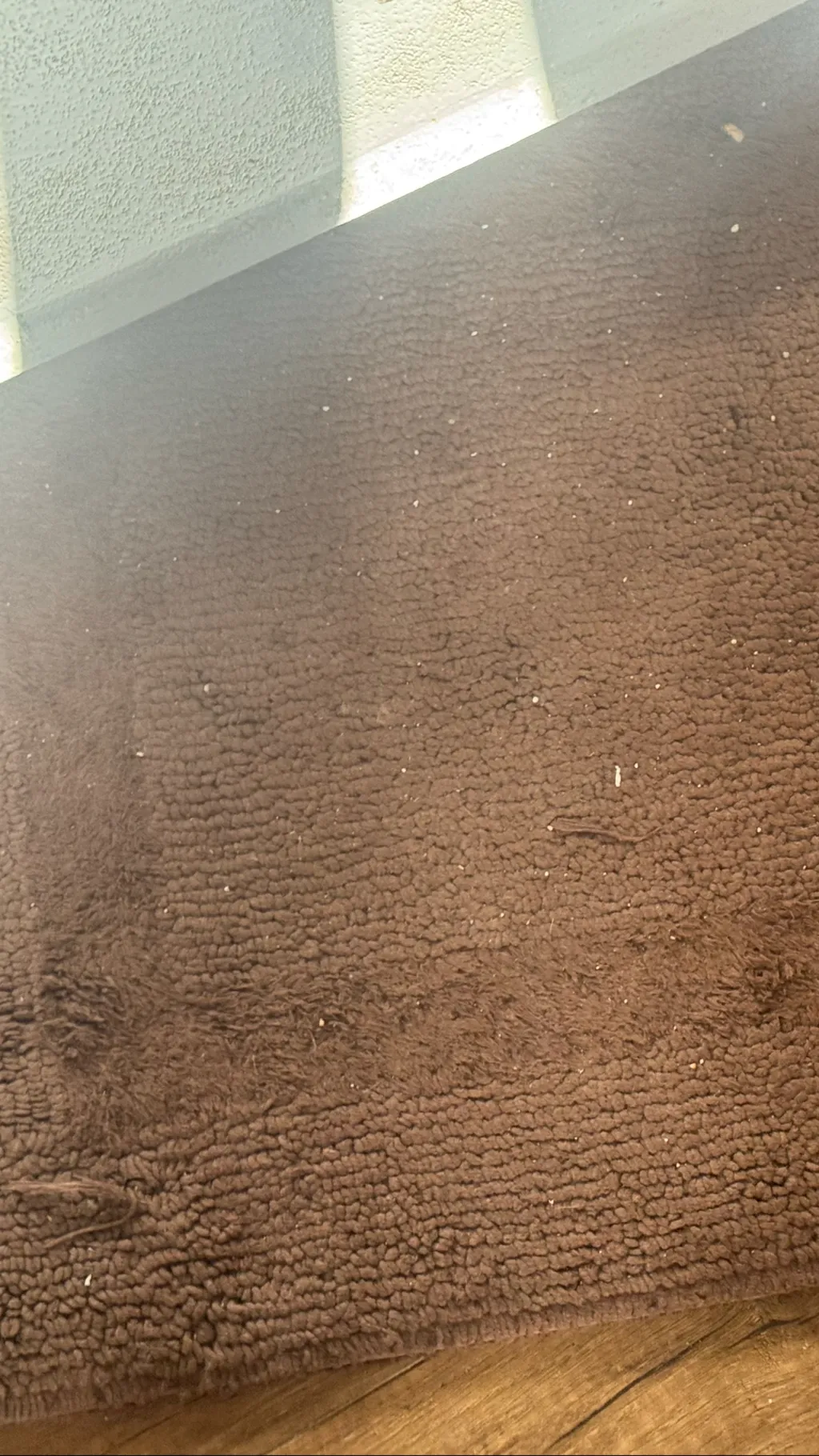 ai character: Carpet officers background