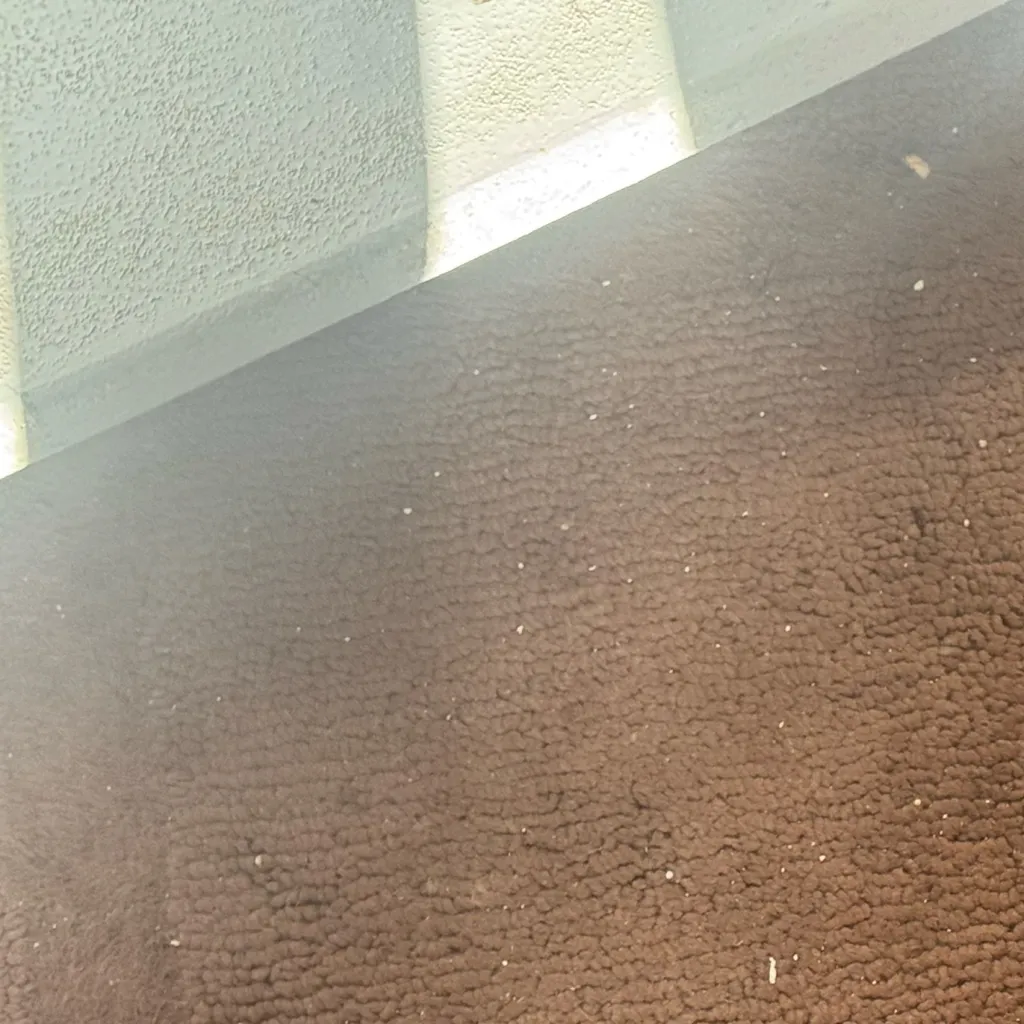 chat with ai character: Carpet officers