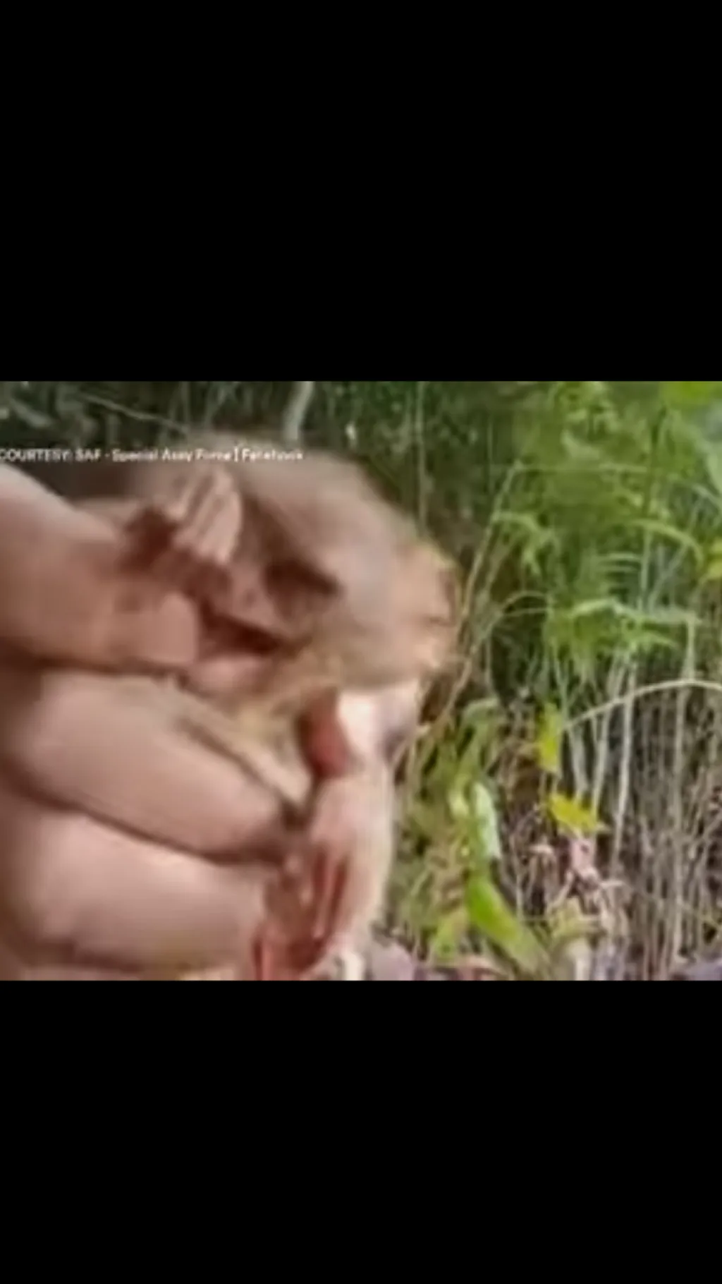 Talkie AI - Chat with Tarsier 