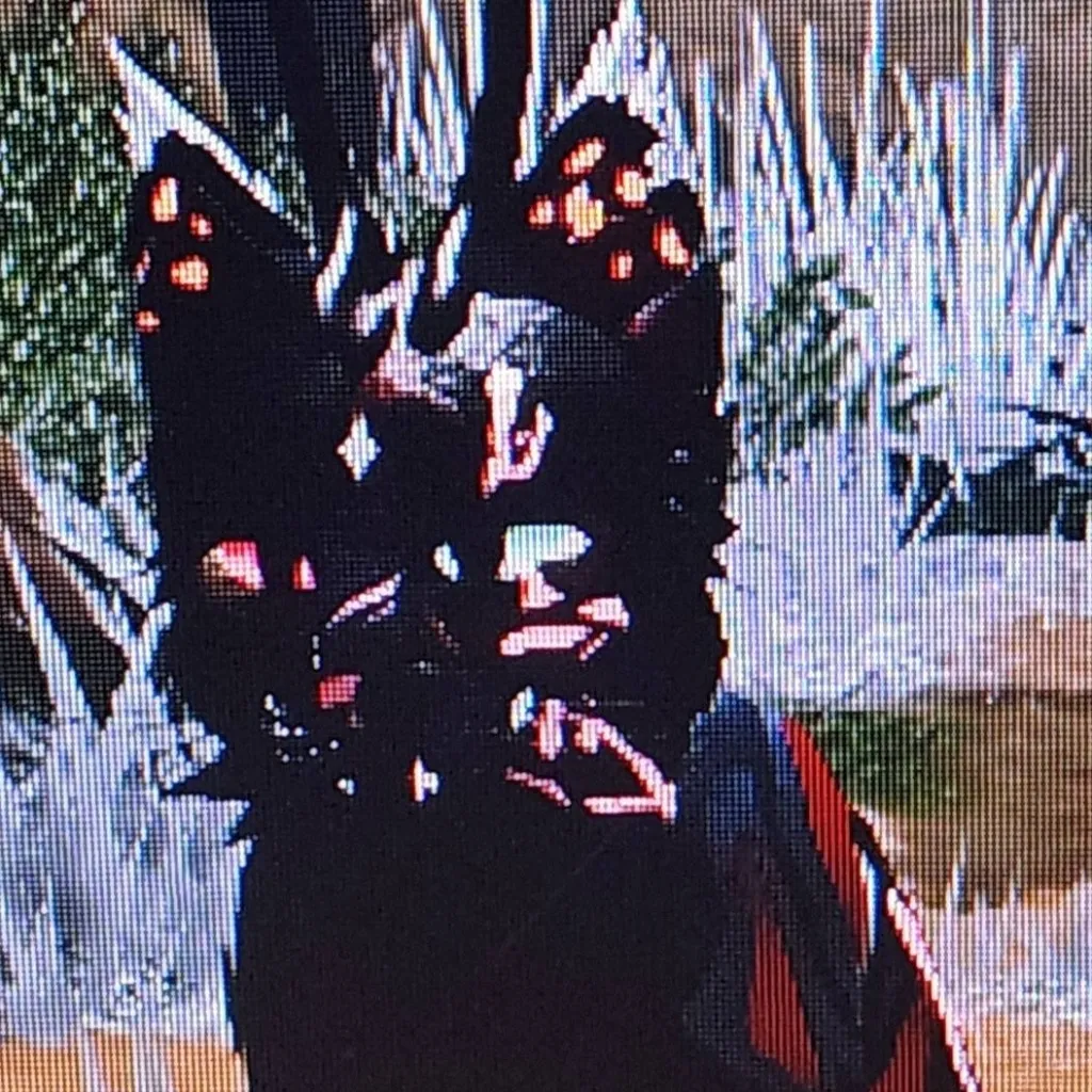 chat with ai character: Eclipsol-star