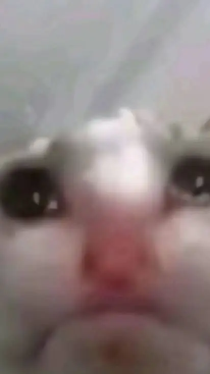 ai character: depressed kitten  background