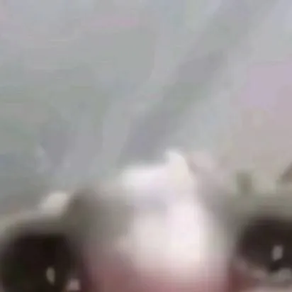 chat with ai character: depressed kitten 