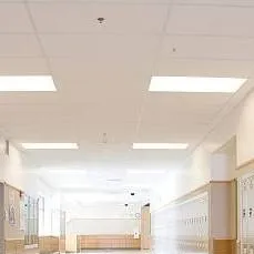 chat with ai character: Classmates/School