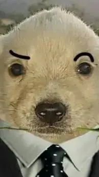 ai character: Perro fino background