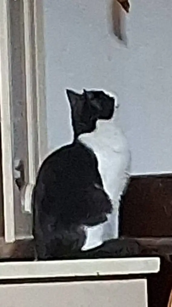 ai character: mha...... background