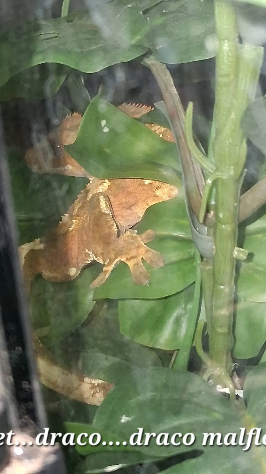 ai character: Erasermic fam background