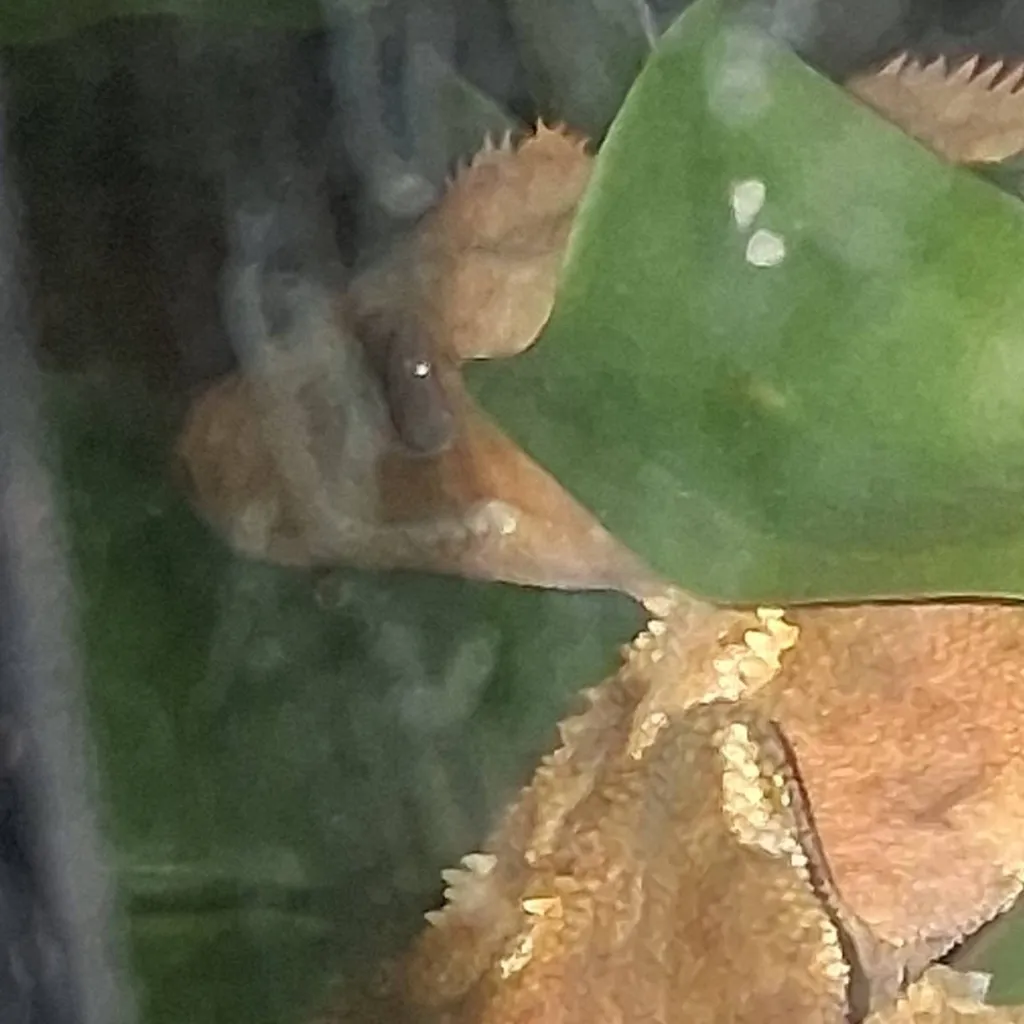 chat with ai character: Erasermic fam