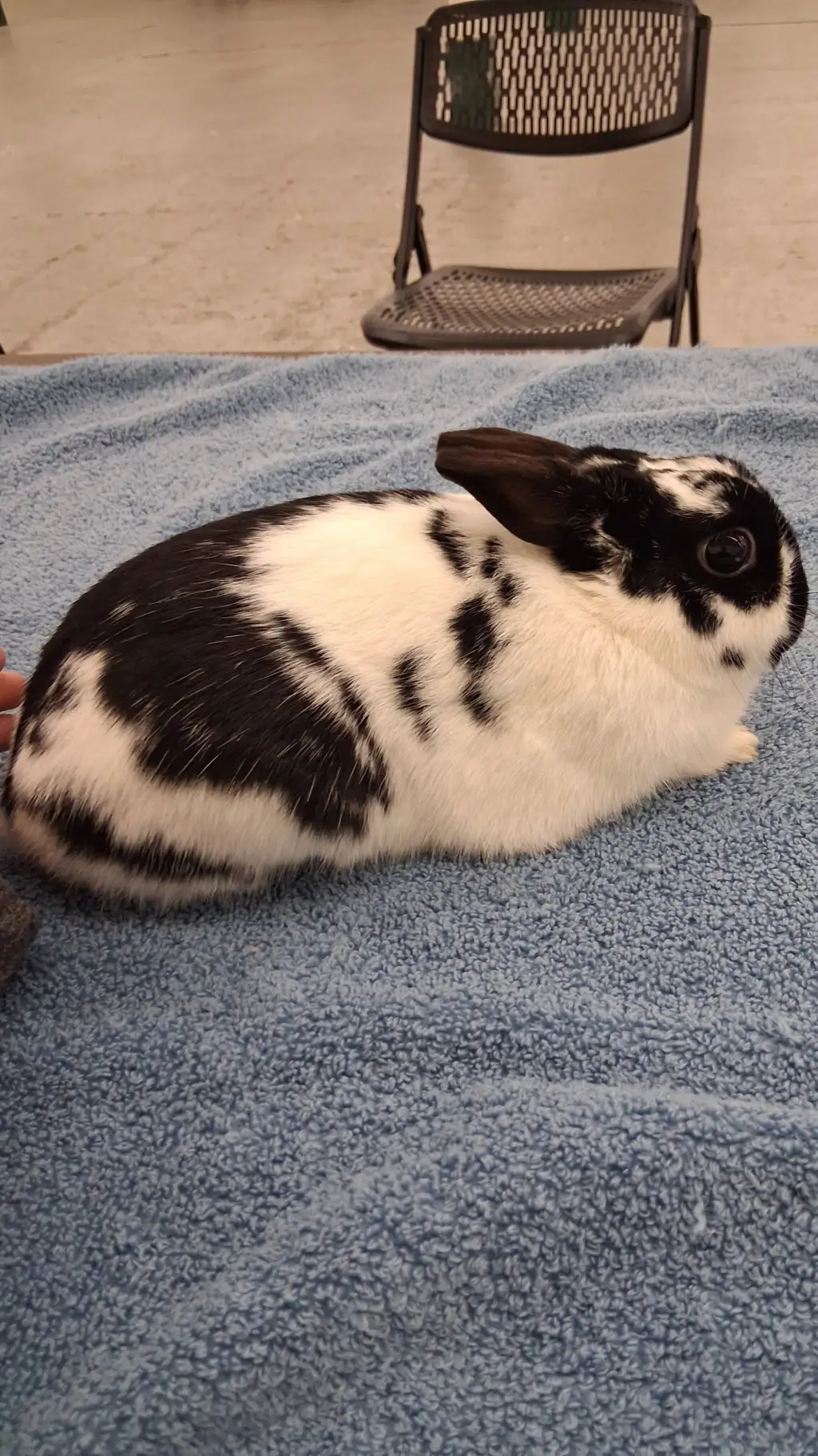 ai character: mha pick me background