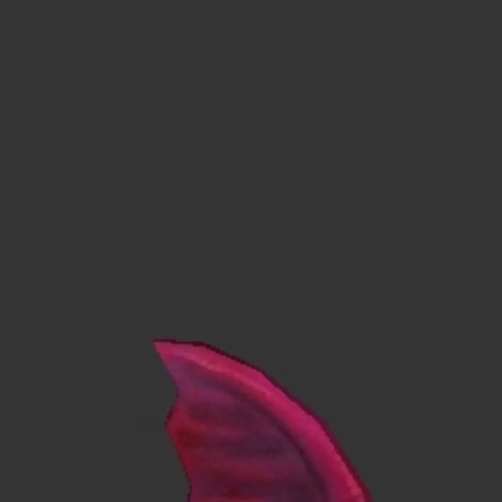 chat with ai character: Fin