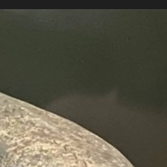 chat with ai character: sacabambaspis