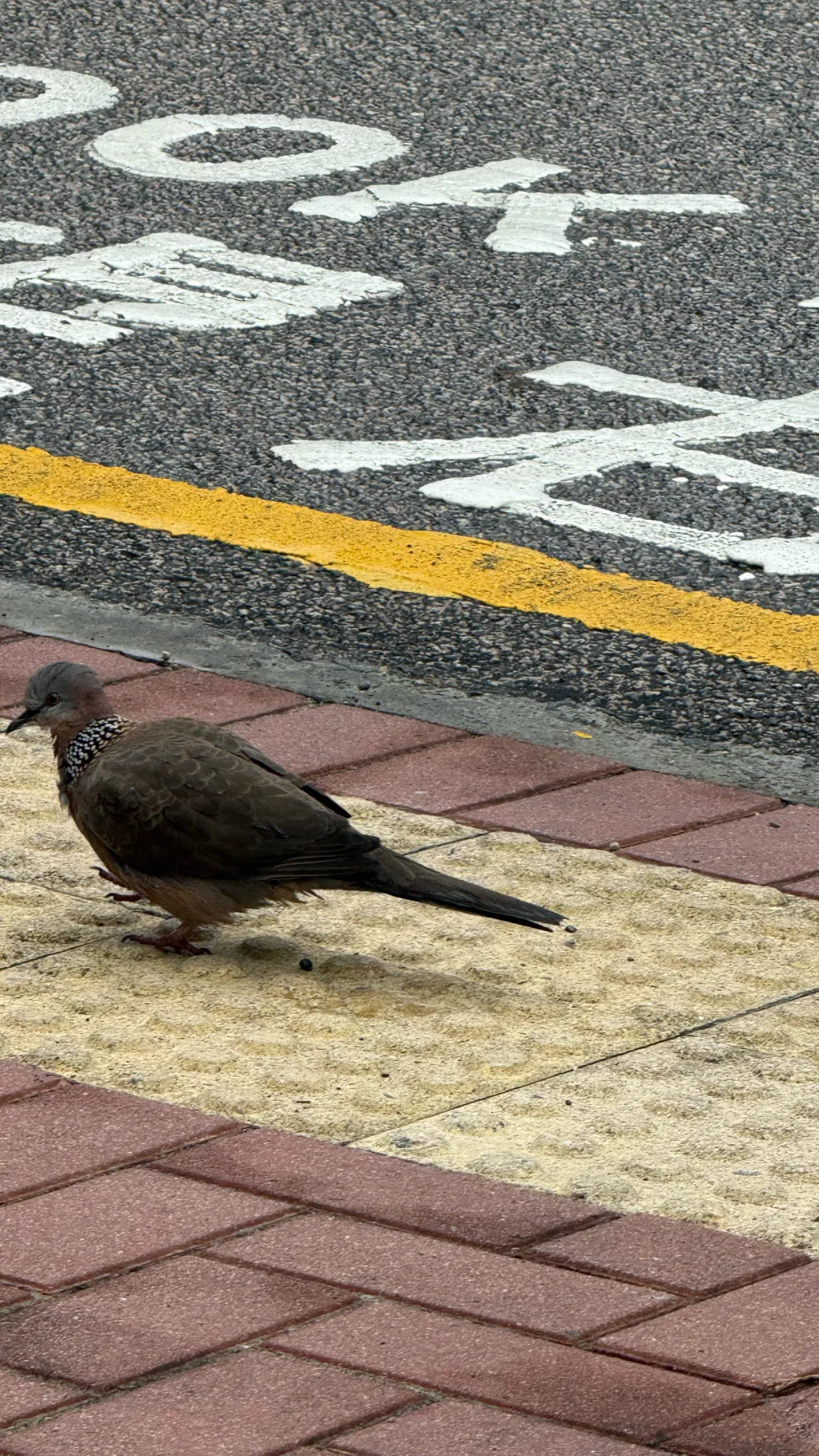 ai character: Dw x time to live background