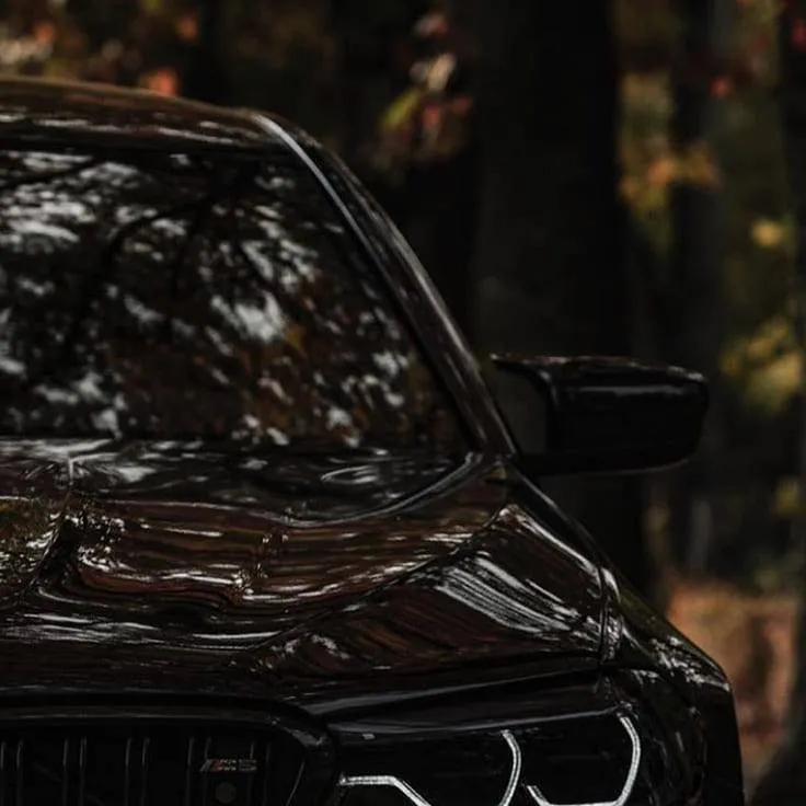 chat with ai character: BMW M5 