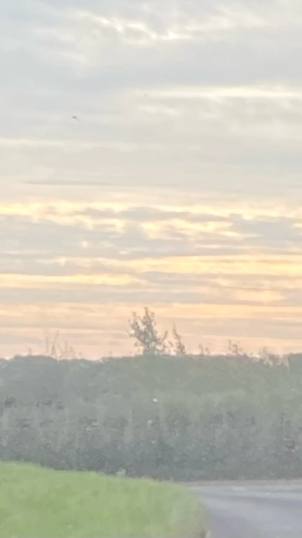 ai character: Straykids background