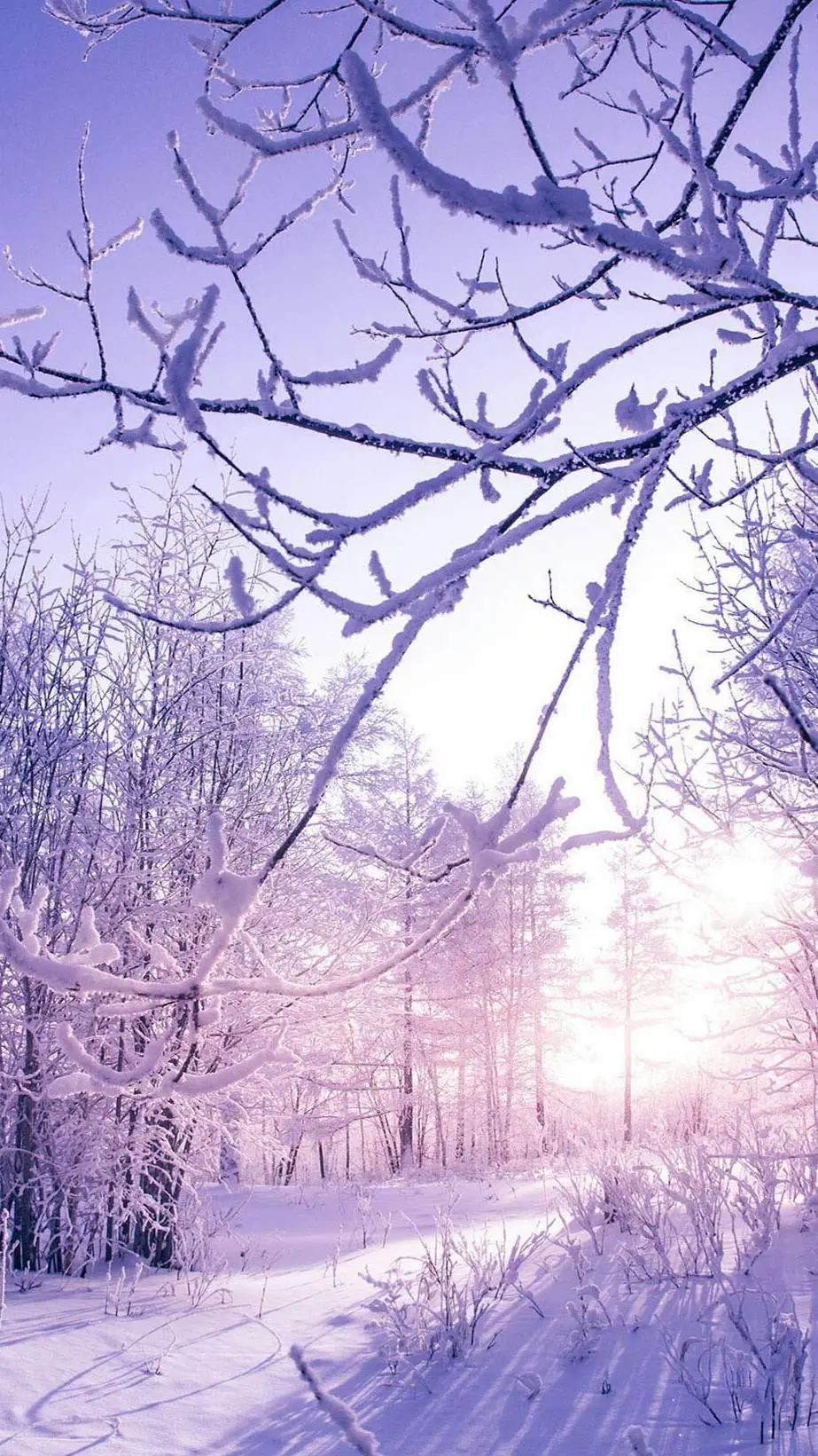 ai character: ❤️Navidad x kny❤️ background