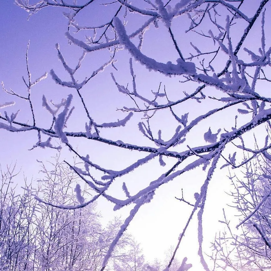 chat with ai character: ❤️Navidad x kny❤️