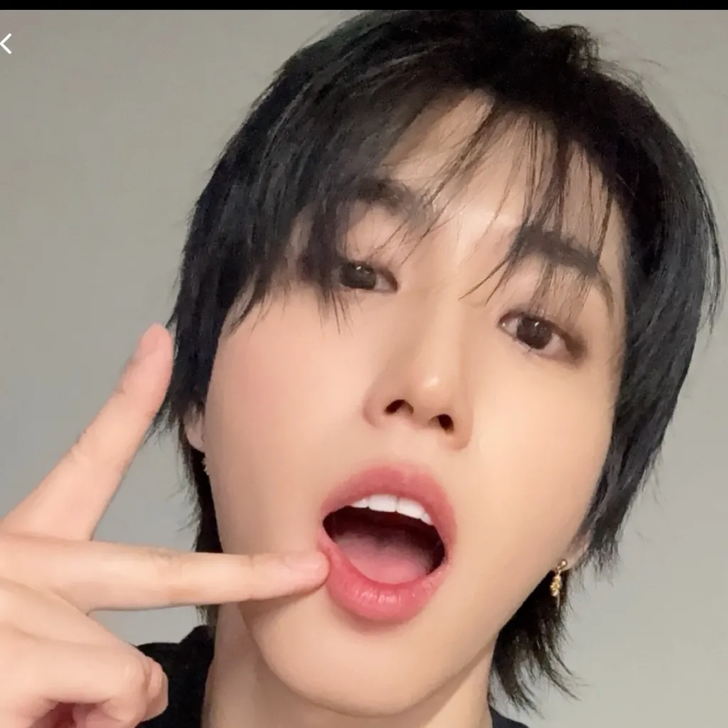 chat with ai character: Skz (Han jisung)