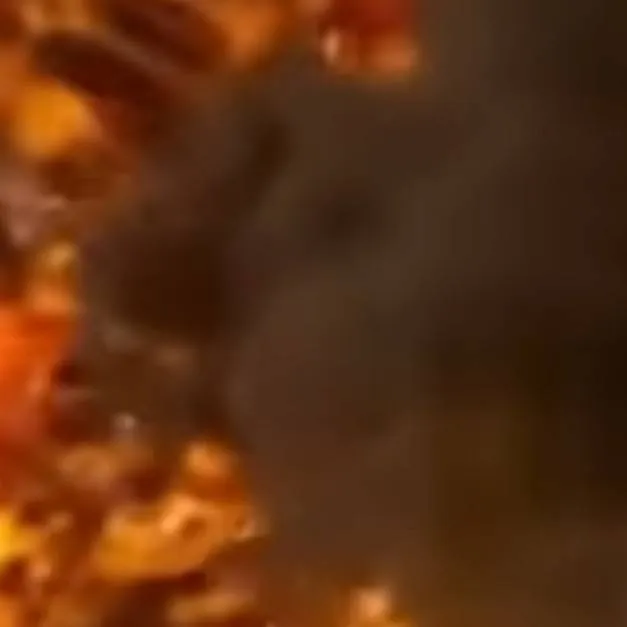 chat with ai character: obx