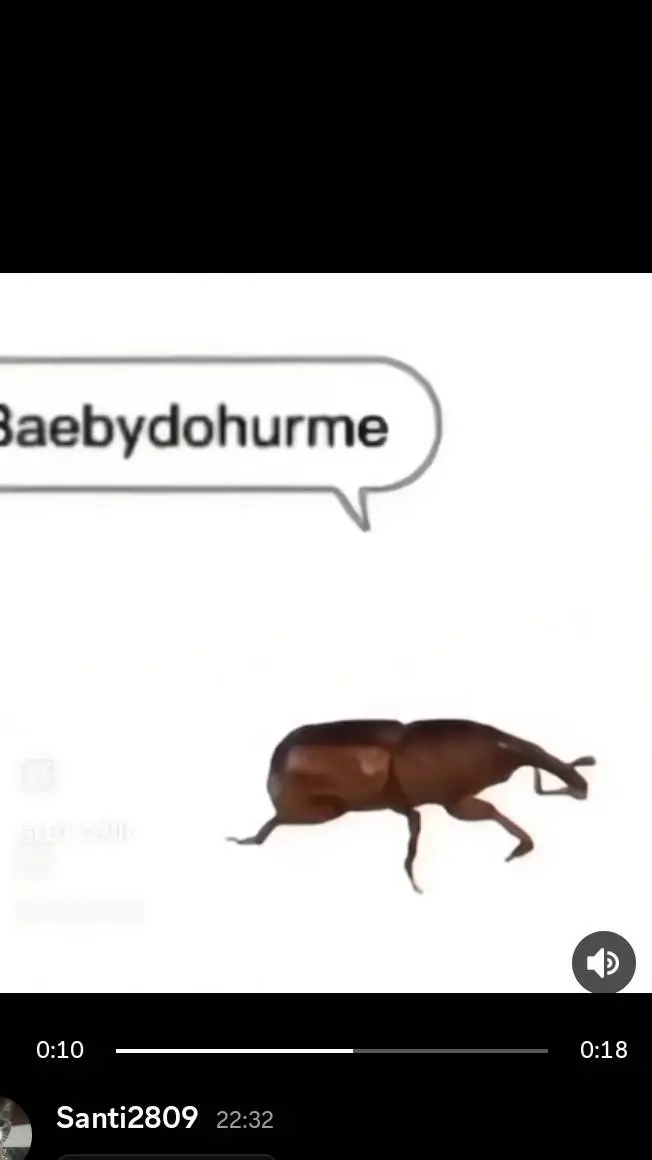 ai character: la cucaracha 🪳 background