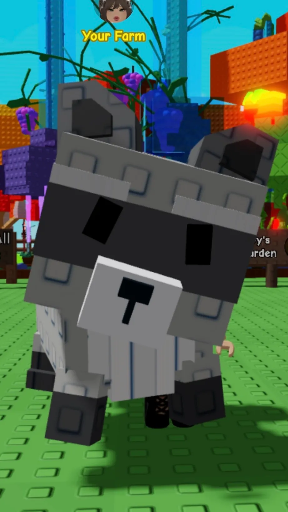 ai character: Abandoned raccoon background