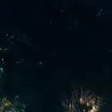 chat with ai character: ☠️Wendigo💀