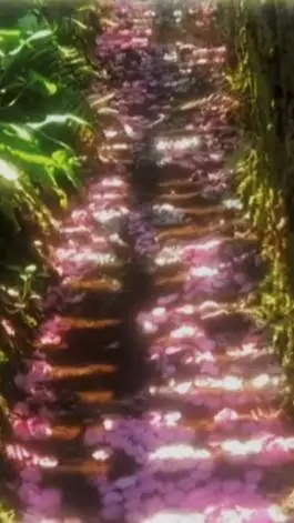 ai character: ben background