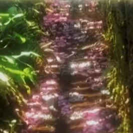 chat with ai character: ben