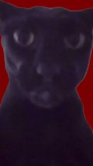 Talkie AI - Chat with Evil Larry 