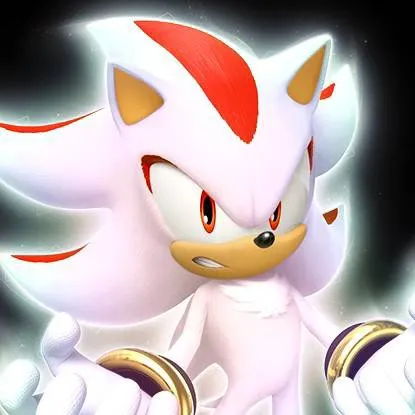 chat with ai character: Shadow T Hedgehog 
