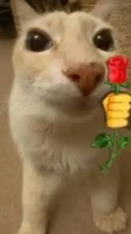 ai character: Gatovich background