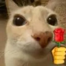 chat with ai character: Gatovich