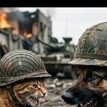 chat with ai character: guerra de 🐶🐱