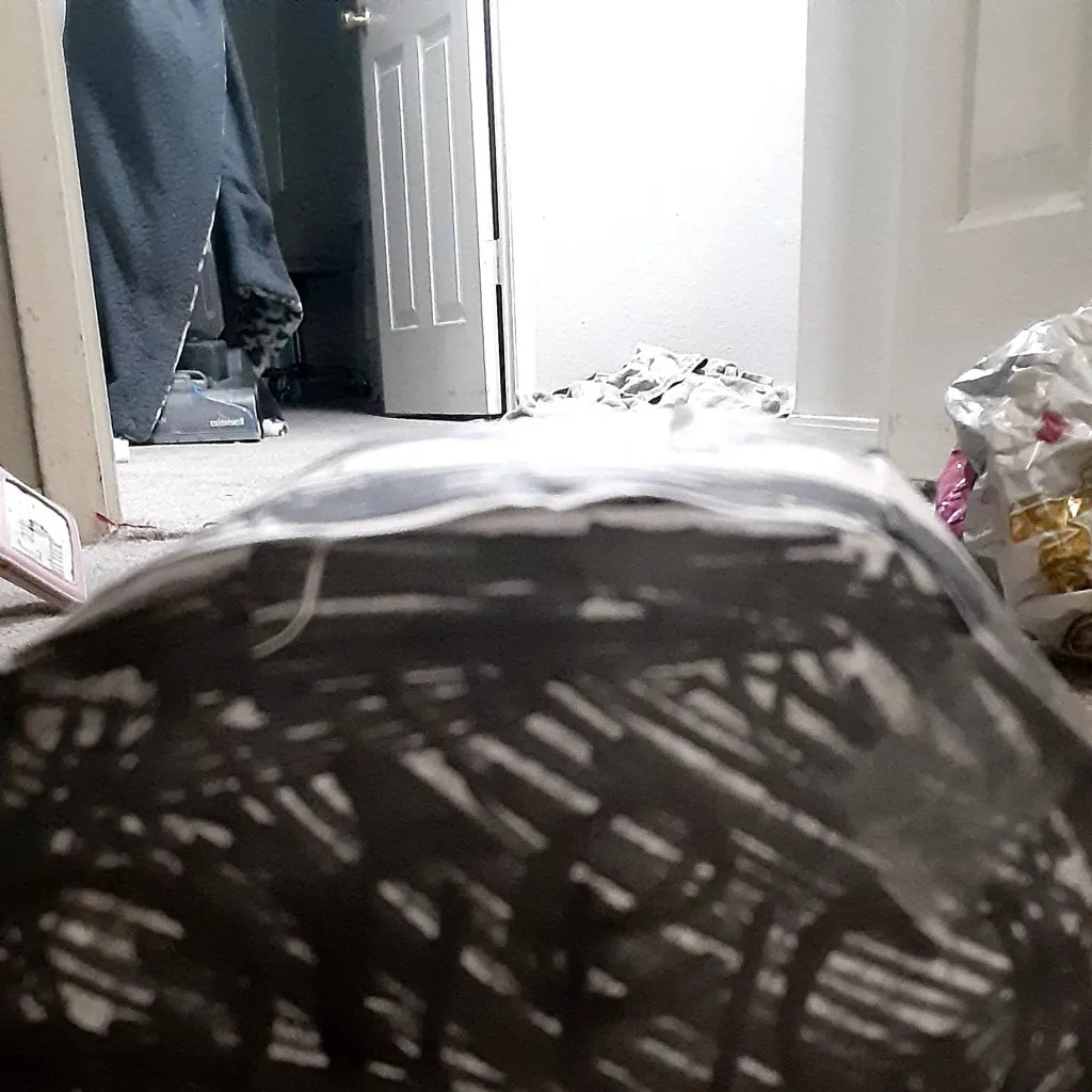 chat with ai character: oreo7128yt