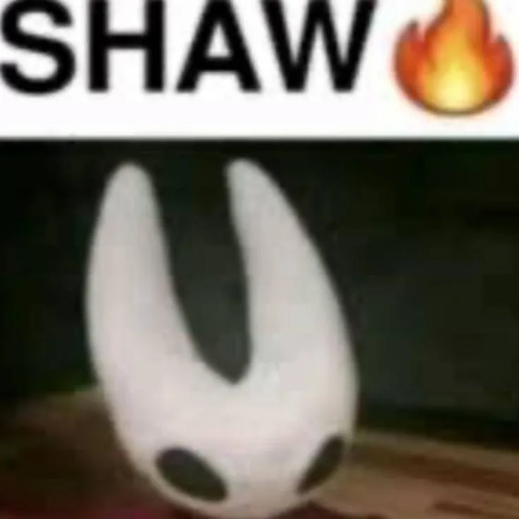 chat with ai character: Hornet