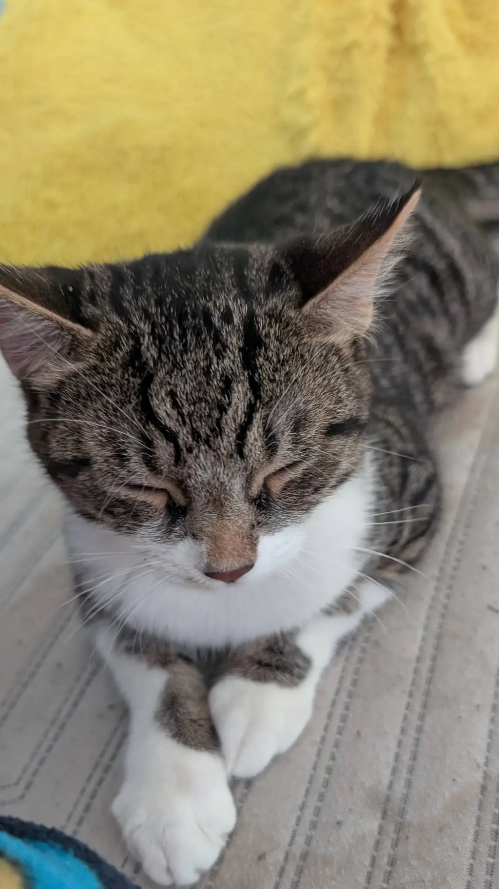 ai character: Brian background