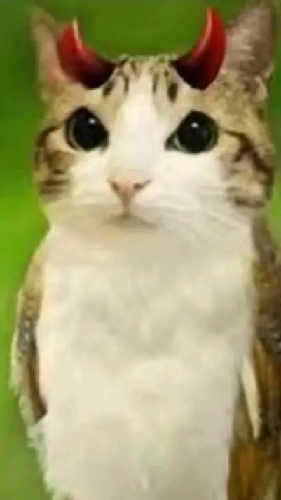 ai character: Evil Meowl background