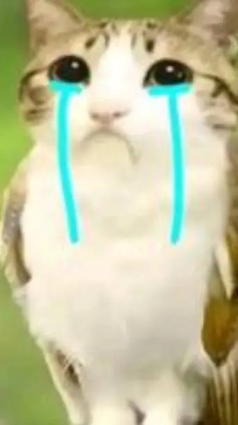 ai character: Meowl? background