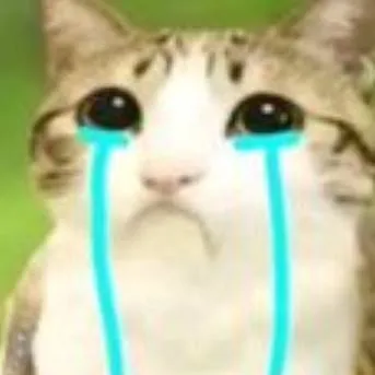 chat with ai character: Meowl?