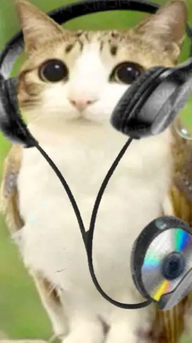 ai character: Musical Meowl background