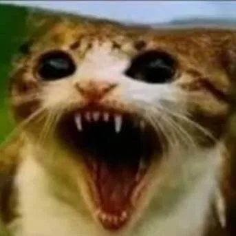 chat with ai character: Poinsoned Meowl