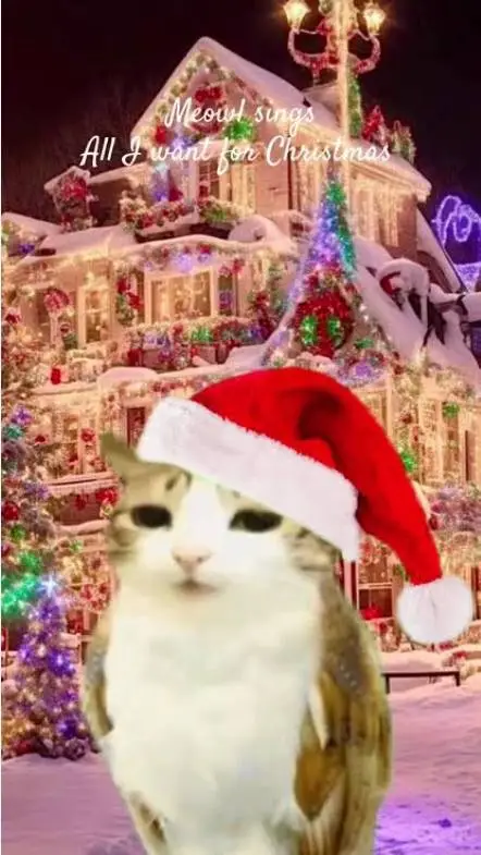 ai character: Meowl Christmast background